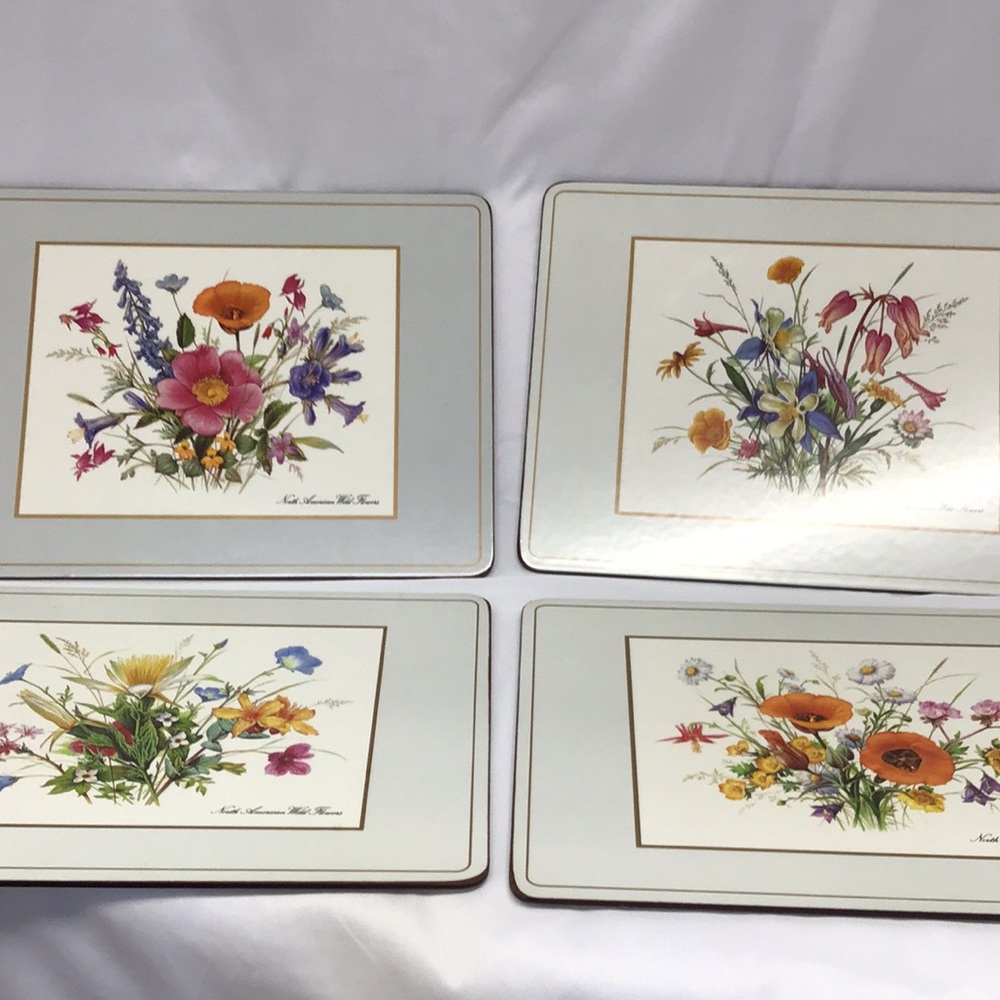 🔥Pimpernel vintage Deluxe acrylic corkback placemats N America wild flowers &box